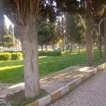 بوستان سرو
