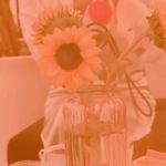 سالن زیبایی و سولاریوم مرضیه امیراحمدی