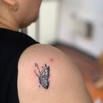 سالن زیبایی رز سرخ