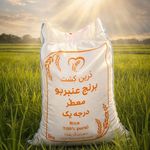 پخش برنج درین کشت