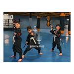 باشگاه رزمی نینجا