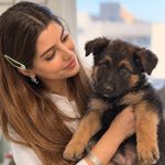کلینیک دامپزشکی تخصصی نیک پلاس