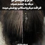 مرکز تخصصی میکرواسکالپ سر پریسا رجبی