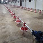 صنایع مرغداری تکین