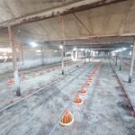 تجهیزات مرغداری علی محمدی