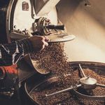 فروش دان قهوه به صورت عمده و خرد کیمیا