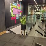 باشگاه ورزشی ماهر