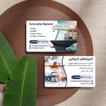 خدمات طراحی لوگو و گرافیست صفوی