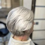 رنگ و لایت ژیلا امیری