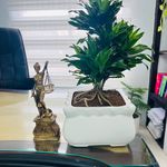 وکیل سمیه شیری جنیداباد
