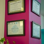 کیلینیک دامپزشکی ضیا پت