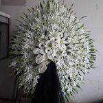 گل فروشی دنیز آنلاین (شعبه 2)