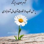 روانشناس کودک دکتر آمنه دقیقی