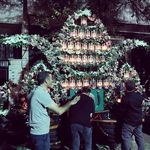 گلفروشی سی تو (ارسال رایگان)