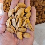 خشکبار امین