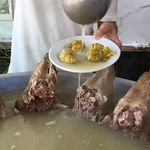 طباخی کپل مپل