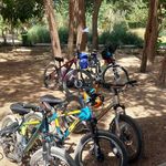 باشگاه رکاب زنان فیروزه ای(غرب تهران )