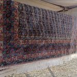 قالیشویی حشمت