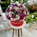گل فروشی آندیا (شعبه یک)
