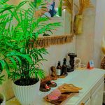 آموزشگاه فیشال و هد اسپا مژگان تیموری