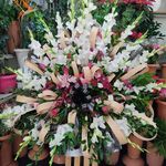 گلفروشی سی تو (ارسال رایگان)