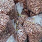 بادام زمینی مغان