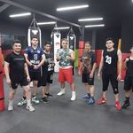 کلاب بوکس شاهین