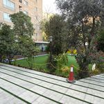 دبستان روشنگران هروی