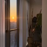 باشگاه یوگا ، خانه یوگا یاوانا