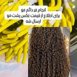 سالن زیبایی تارا بیوتی