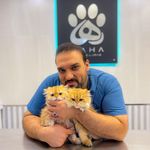 کلینیک دامپزشکی رها