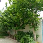 مرکز ترک اعتیاد افق رهایی معراج