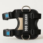 پت شاپ هایپت