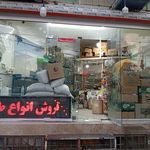 دنیای پرندگان پاروت