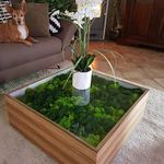 دکوراسیون خزه‌ای رُستا