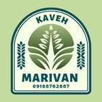 ادوات کشاورزی کاوه