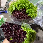 بازرگانی فارم پلاس