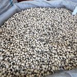 مواد غذایی حبوبات و خشکبار کارپرداز