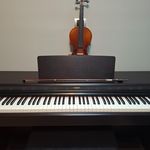 آموزشگاه موسیقی نوای دل