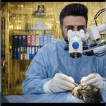 کلینیک دامپزشکی دکتر فطین آذر ارومیه