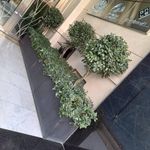 خدمات باغبانی هرس کاری صاحبدل