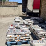 خاک گربه آریاکت