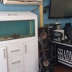 کافی نت شادمهر