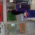 عرضه مرغ دولتی یحیی پور