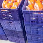 عرضه مرغ دولتی یحیی پور