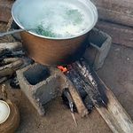 باغ گردو و پرورش زنبور عسل  عباد آقالو