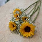 خدمات گلفروشی آناهیتا