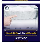 قربانی سرویس