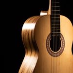 سازنده گیتار آگرین