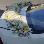 گلفروشی سی تو (ارسال رایگان)